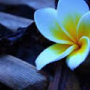 Meet your Posher, Ellie